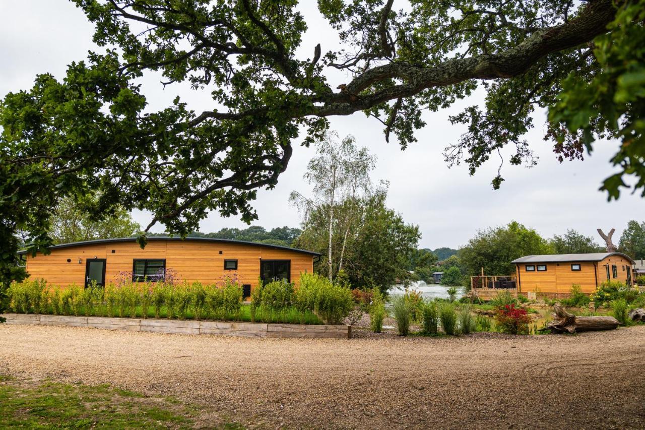 Sumners Ponds Fishery & Campsite Hotel ฮอร์ชัม ภายนอก รูปภาพ