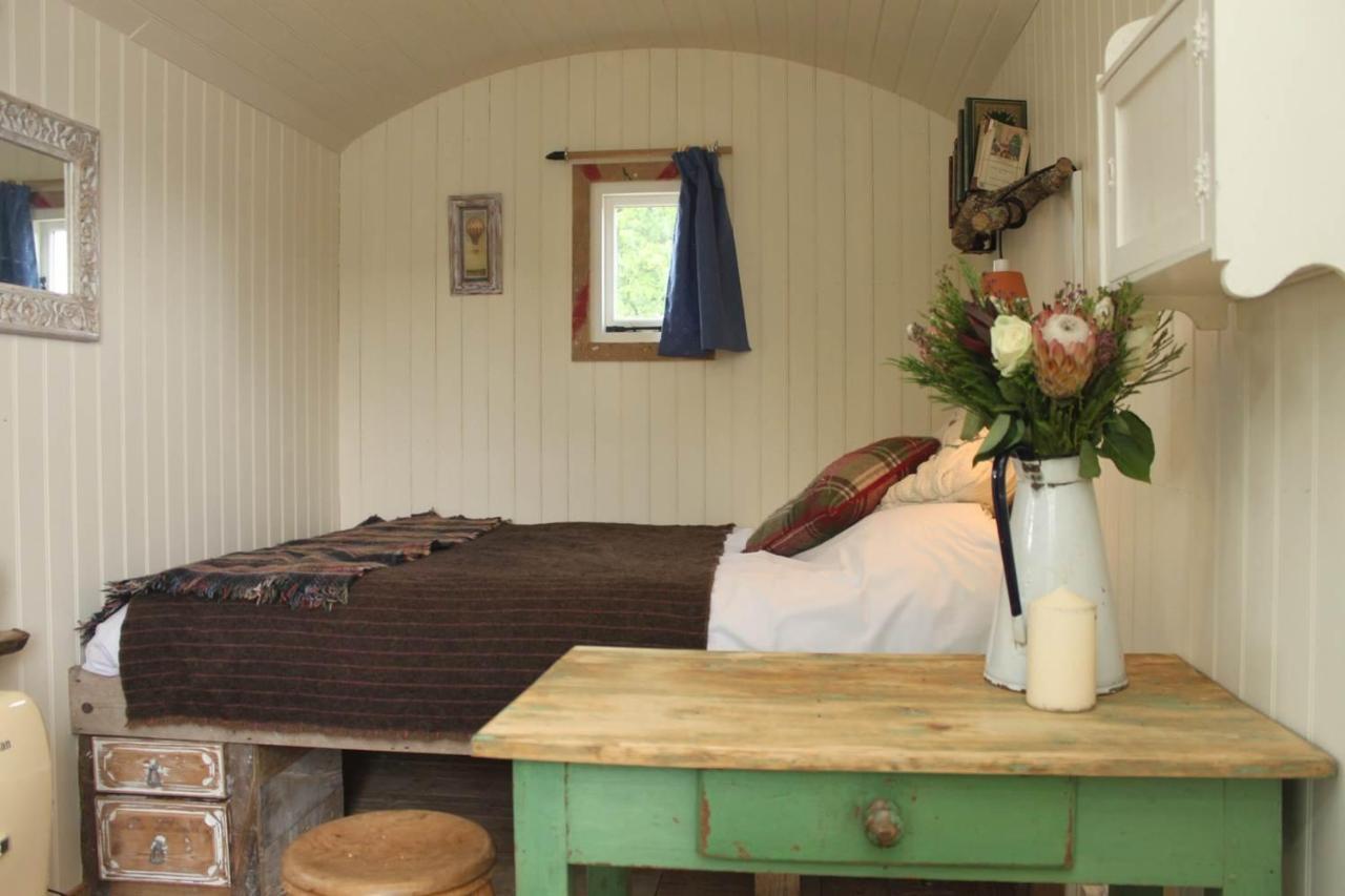 Sumners Ponds Fishery & Campsite Hotel ฮอร์ชัม ภายนอก รูปภาพ